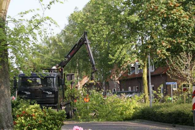 opruimen en versnipperen van takken in vught